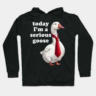 Today I'm A Serious Goose Hoodie